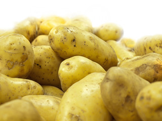 fresh potato