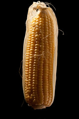 corn