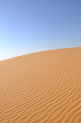 Desert