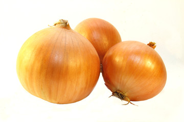 onion isolated on white background