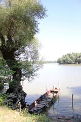 Am Donauufer