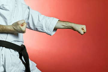 Karate training at gym © blas