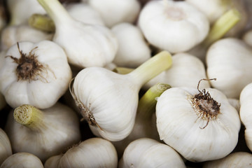 Close up of fresh garlic cloves
