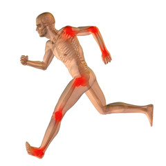 High resolution conceptual 3D human for anatomy