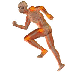 High resolution conceptual 3D human for anatomy