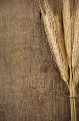 ears spike of wheat on wood