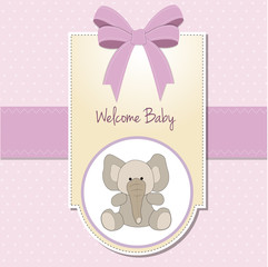 baby girl announcement card - obrazy, fototapety, plakaty