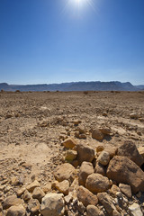 Fototapeta na wymiar Midday in Israel Desert