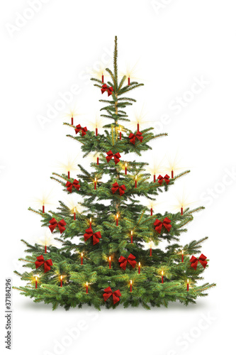 quot weihnachtsbaum mit roten kerzen und schleifen quot stockfotos quot weihnachtsbaum mit roten kerzen und schleifen quot stockfotos