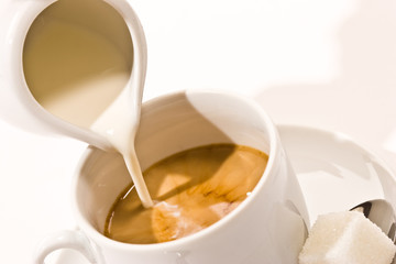 coffee
