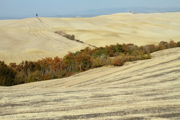 landscape of Crete Senese region in Tuscany