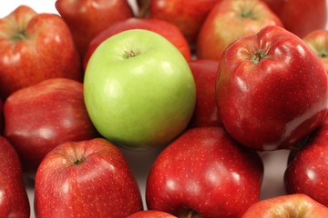 Erntezeit