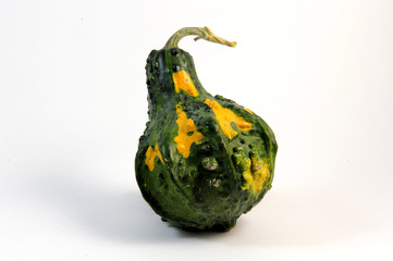 Zucca ornamentare
