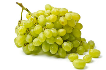 White grape
