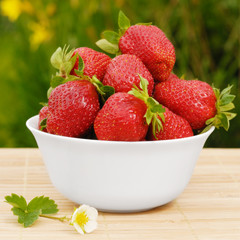 Strawberries in a bowl