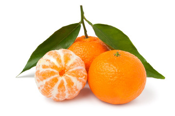 group of tangerines