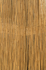 bamboo fence