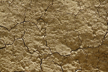 Cracked earth