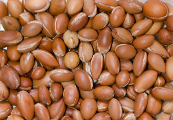 noyau d'argan 2