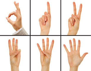 Showing numbers