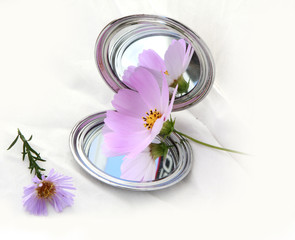 mirror and flower's