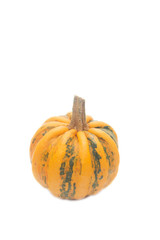 one decorative orange pumpkin against white background