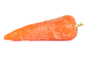 carrot