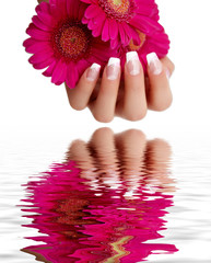 Nageldesign Gerbera