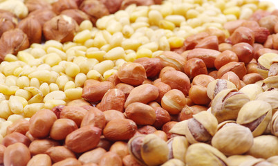 various nuts