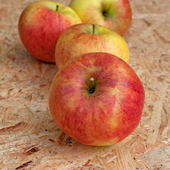 Äpfel - Malus