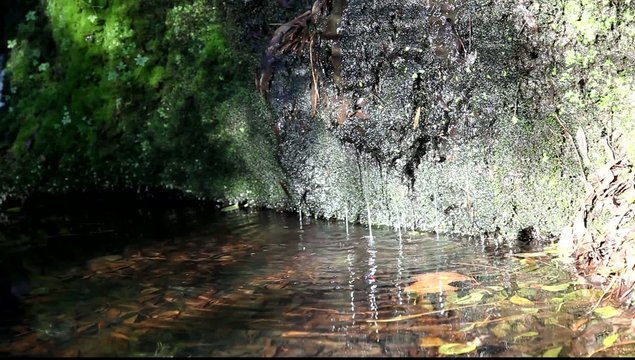 nature