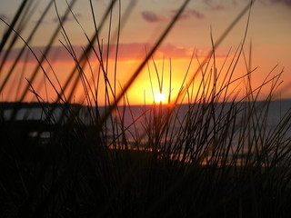 couche de soleil, phillip island australie