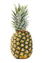 Fototapeta premium pineapple