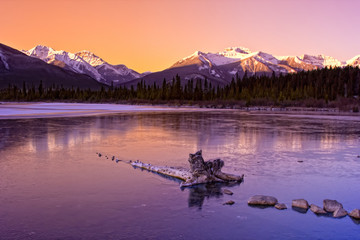 Winter Wonderland in the Rockies