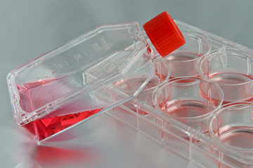 Flasks and plates for cell culture experiments