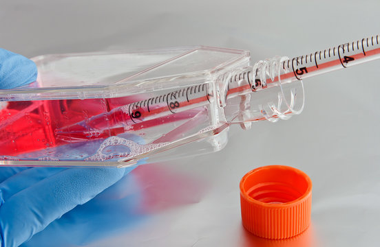 Pipetting of culture medium into cell culture flask