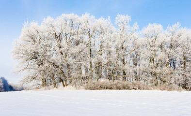 winter landscape, Czech Republic