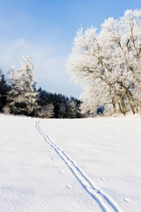 winter landscape, Czech Republic
