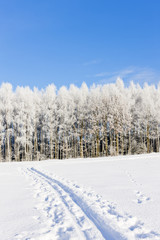 winter landscape, Czech Republic
