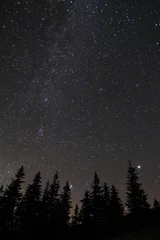 Photo sur Plexiglas Nuit Silhouette d& 39 arbres contre le ciel nocturne avec des étoiles