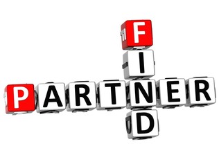 3D Find Partener Crossword