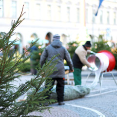 Weihnachtsbaum Markt