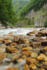 Kanion Rzeki Tary w Czarnogórze