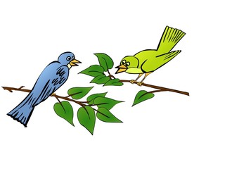 Birds speaks eachother