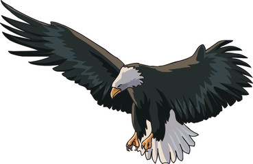 American Eagle In a Flight