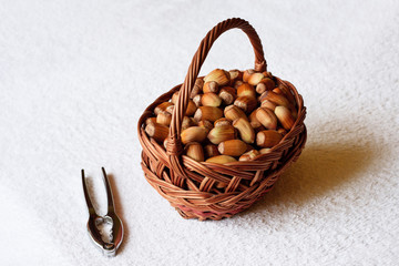 Hazelnuts in basket
