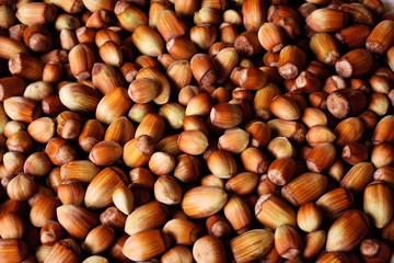 Hazelnuts