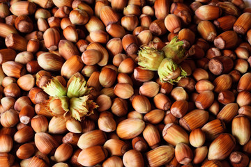 Hazelnuts