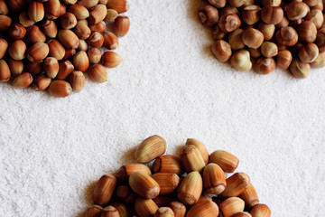 Different hazelnuts