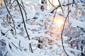 Winter sunset